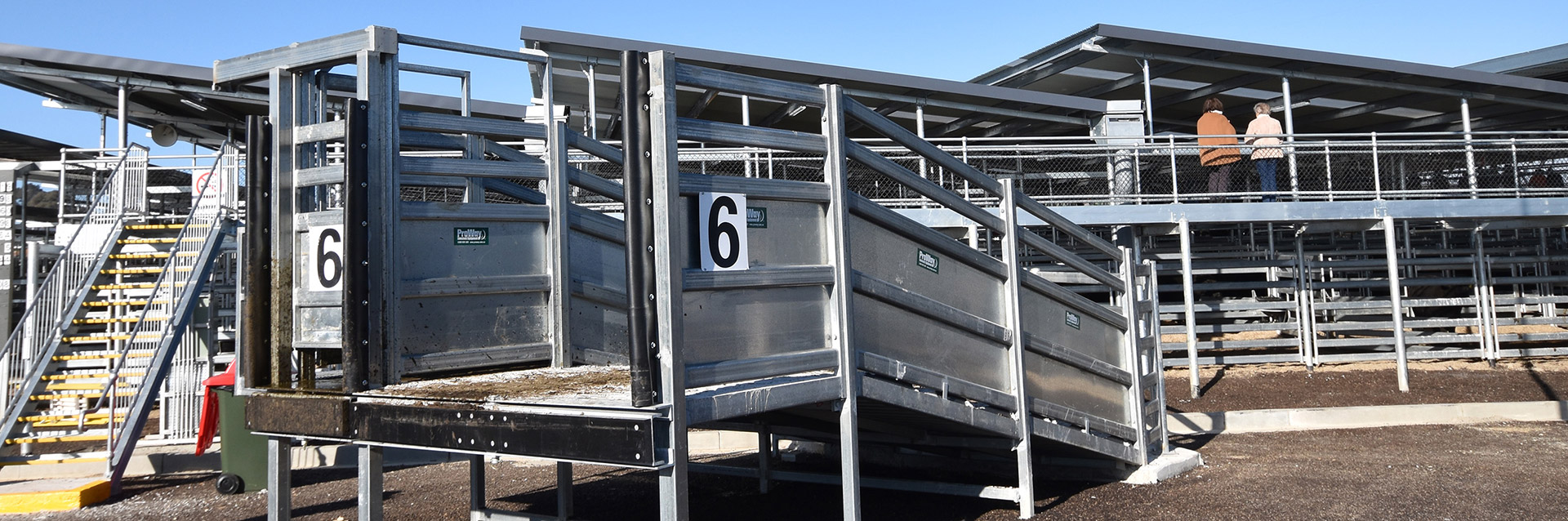 Cattle Loading Chutes | Loading Chutes for Cattle
